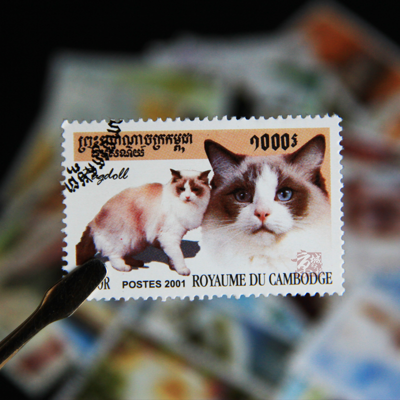 50 Different Cats Stamps 50 No - Vintage Collectible Stamps 评论和价格