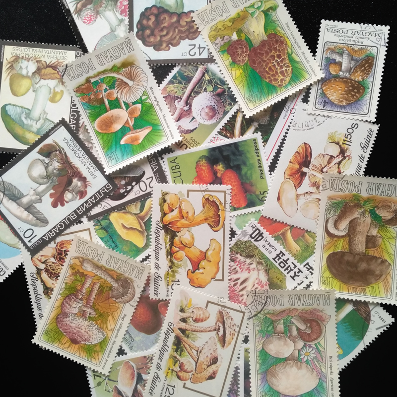 100 Different Original Mushroo - Vintage Collectible Stamps 评论和价格