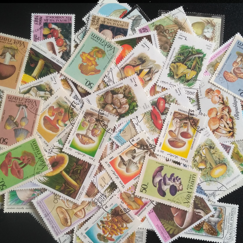 100 Different Original Mushroo - Vintage Collectible Stamps 评论和价格